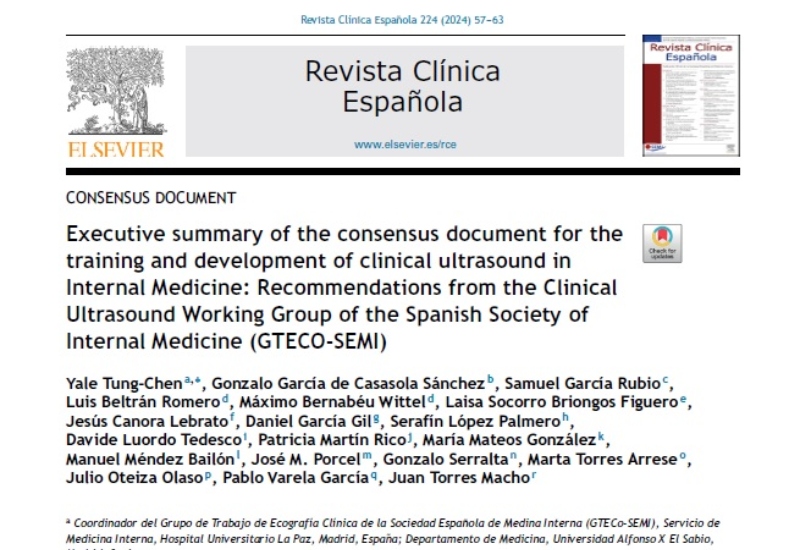 “Executive summary of the consensus document for the training and development of clinical ultrasound in Internal Medicine: Recommendations from the Clinical Ultrasound Working Group of the Spanish Society of Internal Medicine | Davide Luordo